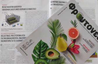 Μετασυλλεκτική διαχείριση των κουνουπιδιών Roman Cauliflower