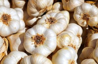 Μετασυλλεκτική Διαχείριση στα Σκόρδα