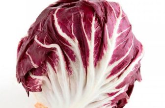 Μετασυλλεκτική Διαχείριση στο Ραντίτσιο