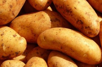 Μετασυλλεκτική Διαχείριση στις Πατάτες