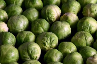 Σημαντικές Συμβουλές για την ιδανική απόδοση της συντήρησης στα λαχανάκια Βρυξελλών σε Ψυκτικούς Θαλάμους.