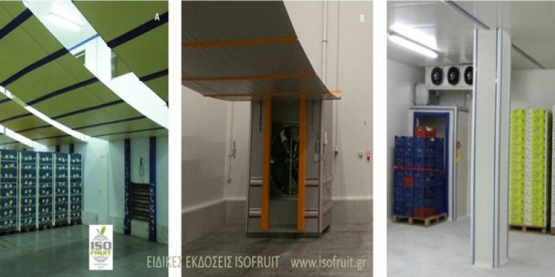 Η σημασία της πρόψυξης στα ροδάκινα και τα νεκταρίνια