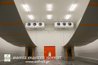 ΑΚΤΙΝΙΔΙΑ