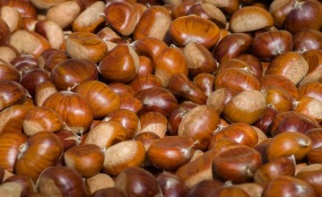 Σημαντικές Συμβουλές για την ιδανική απόδοση της συντήρησης κάστανων σε Ψυκτικούς Θαλάμους.