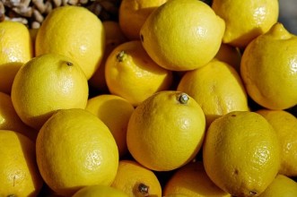 Σημαντικές Συμβουλές για την ιδανική απόδοση της συντήρησης λεμονιών σε Ψυκτικούς Θαλάμους.